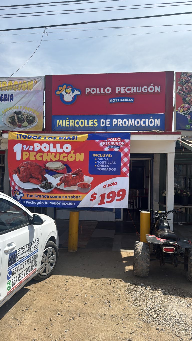 2C27EE90 C64B 4741 8461 3DA0ADD21F83 768x1365