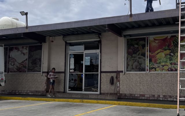 Mercado Panchitos