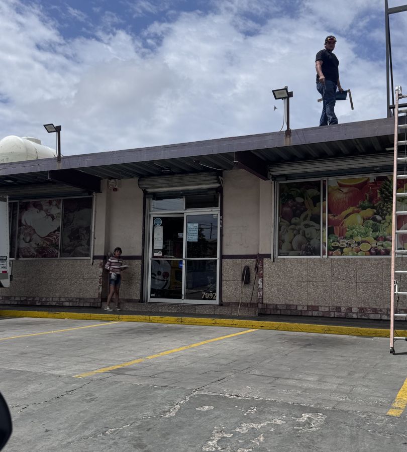 Mercado Panchitos