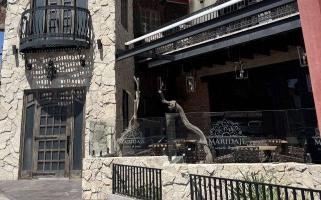 Maridaje Carnes y Vinos