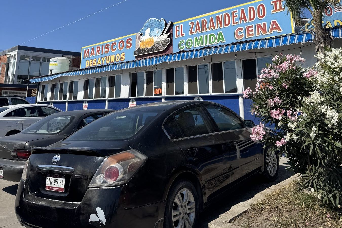Mariscos El Zarandeado II