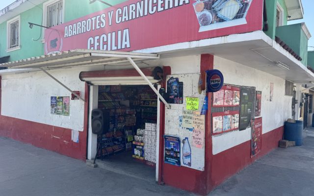 ABARROTES Y CARNICERIA CECILIA